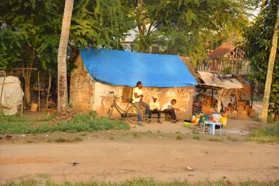 DSC_4273 (Large).JPG